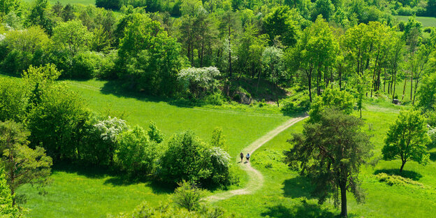 Zwei Menschen gehen durch eine grün strahlende, mit Bäumen und Büschen bewachsene Landschaft Zwei Menschen gehen durch eine grün strahlende, mit Bäumen und Büschen bewachsene Landschaft