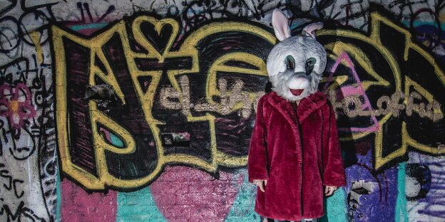 Ein Mensch im roten Plüschmantel und mit einer Hasen-Maske Ein Mensch im roten Plüschmantel und mit einer Hasen-Maske