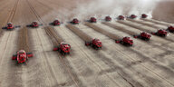 Mehrere rote Mähdrescher ernten ein Feld ab