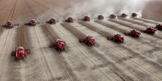 Mehrere rote Mähdrescher ernten ein Feld ab Mehrere rote Mähdrescher ernten ein Feld ab