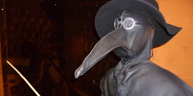 Eine lederne Schnabelmaske Eine lederne Schnabelmaske