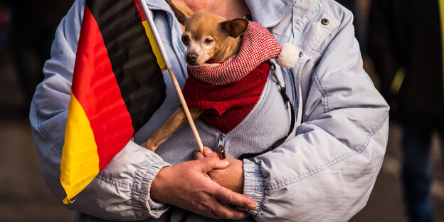 Eine Frau im Anorak hält eine Deutschlandflagge in der Hand und einen kleinen Hund auf dem Arm Eine Frau im Anorak hält eine Deutschlandflagge in der Hand und einen kleinen Hund auf dem Arm