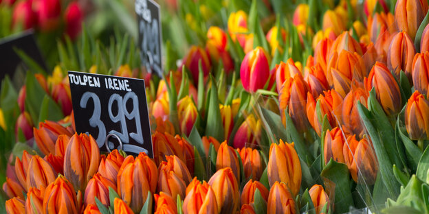 Tulpen in einem Blumenladen Tulpen in einem Blumenladen