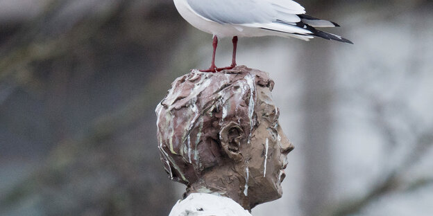 Eine Möwe steht auf einem vollgekackten Statuenkopf Eine Möwe steht auf einem vollgekackten Statuenkopf