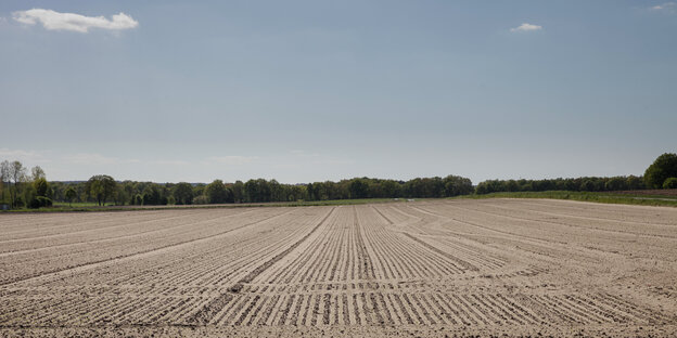 Ein leeres graues Feld Ein leeres graues Feld