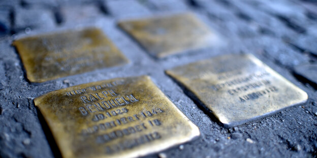 Vier Stolpersteine im Kopfsteinpflaster Vier Stolpersteine im Kopfsteinpflaster