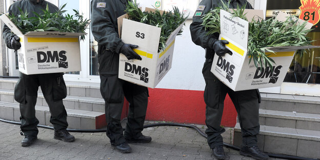 Uniformierte tragen Kisten mit Hanfpflanzen Uniformierte tragen Kisten mit Hanfpflanzen