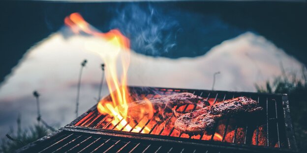 Ein Stück Fleisch verbrennt auf einem Grill Ein Stück Fleisch verbrennt auf einem Grill
