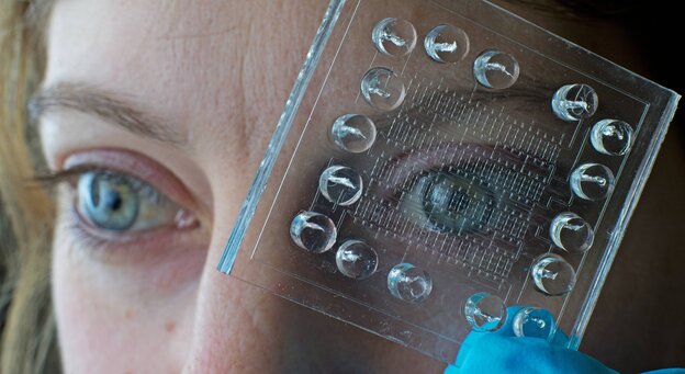 Eine Frau hält einen transparenten Chip vor das Gesicht Eine Frau hält einen transparenten Chip vor das Gesicht