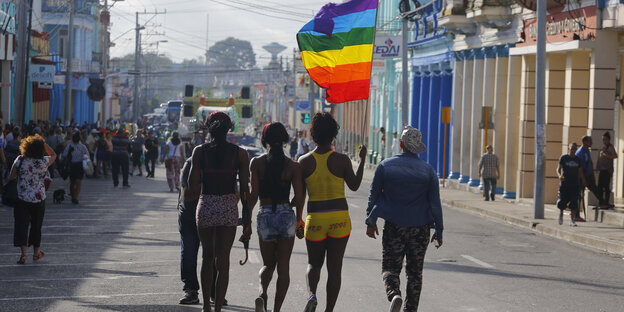 Vier Menschen laufen eine Straße entlang, eine_r von ihnen hält eine Regenbogenfahne. Man sieht sie von hinten Vier Menschen laufen eine Straße entlang, eine_r von ihnen hält eine Regenbogenfahne. Man sieht sie von hinten
