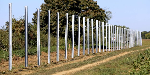 Die Pfähle eines Grenzzauns zwischen Ungarn und Kroatien