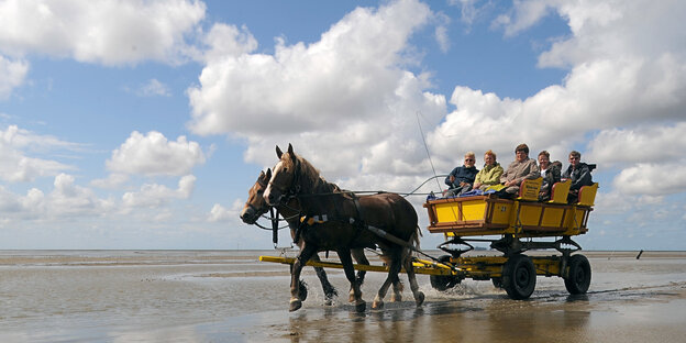 Pferdewagen im Watt Pferdewagen im Watt