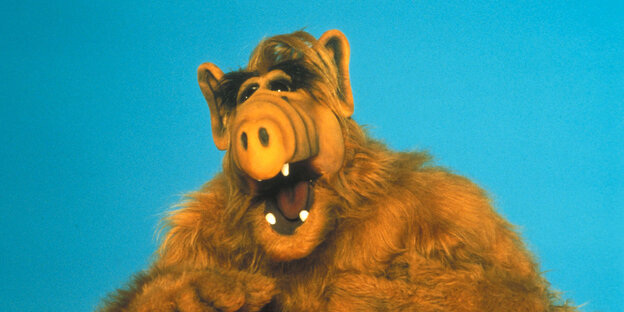 Das Stofftier Alf lacht Das Stofftier Alf lacht