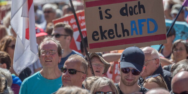 Demonstranten, einer hält ein Schild, auf dem steht „is doch ekelAFD“ Demonstranten, einer hält ein Schild, auf dem steht „is doch ekelAFD“