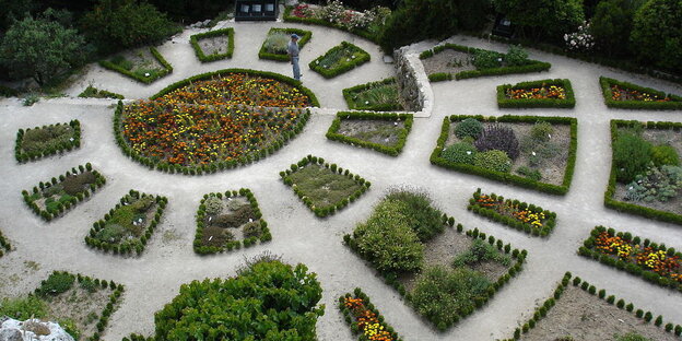 Blick von oben auf einen Kräutergarten