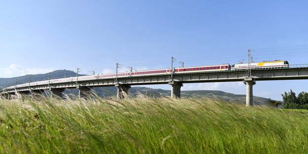 ein Schnellzug fährt auf einer auf Stelzen stehenden Bahntrasse durch eine Wiesenlandschaft ein Schnellzug fährt auf einer auf Stelzen stehenden Bahntrasse durch eine Wiesenlandschaft