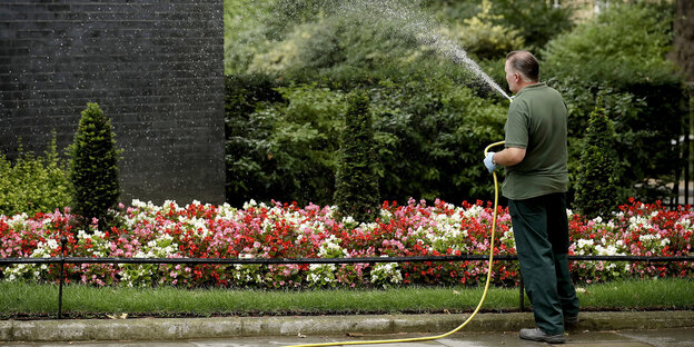 Ein Mann gießt Blumen mit einem Gartenschlauch Ein Mann gießt Blumen mit einem Gartenschlauch