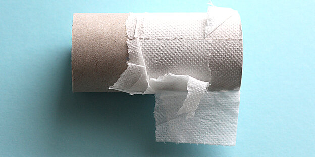 eine aufgebrauchte Klopapierrolle eine aufgebrauchte Klopapierrolle