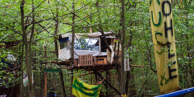 Hütte auf Stelzen im Wald Hütte auf Stelzen im Wald