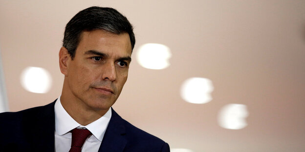 Porträt Pedro Sanchez Porträt Pedro Sanchez