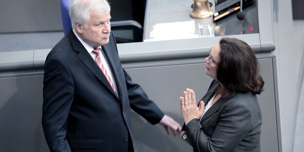 Nahles steht Seehofer gegenüber und hebt die Hände wie zum Gebet