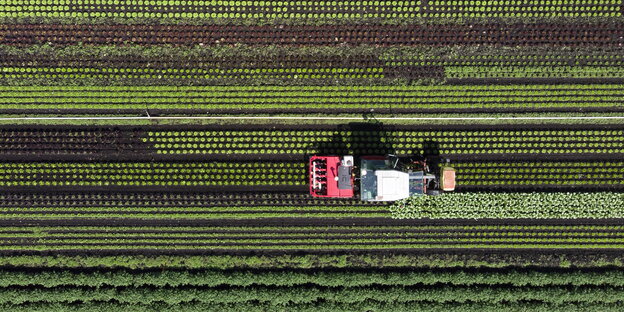 ein Erntefahrzeug von oben, das über ein Feld fährt ein Erntefahrzeug von oben, das über ein Feld fährt