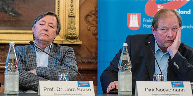 Die Hamburger AfD-Politiker Jörn Kruse und Dirk Nockemann.