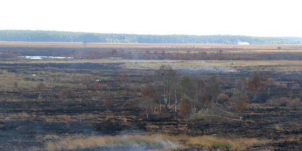 schwelendes Moor schwelendes Moor