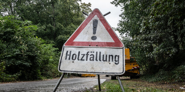 Schild, das vor Baumfällungen warnt Schild, das vor Baumfällungen warnt