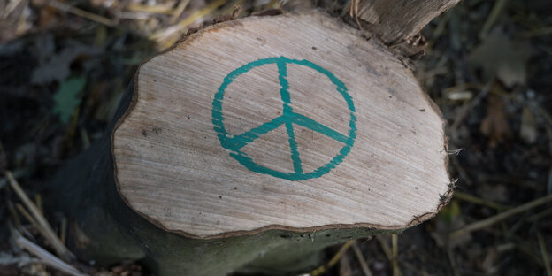 Auf einen abgesägten Baumstumpf im Hambacher Forst wurde ein Friedenssymbol gemalt