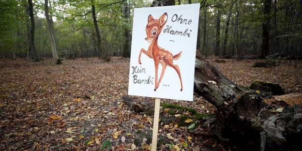 Ein Schild in einem Wald. Darauf steht „Ohne Hambi kein Bambi“. Außerdem ist ein Rehkitz darauf zu sehen Ein Schild in einem Wald. Darauf steht „Ohne Hambi kein Bambi“. Außerdem ist ein Rehkitz darauf zu sehen