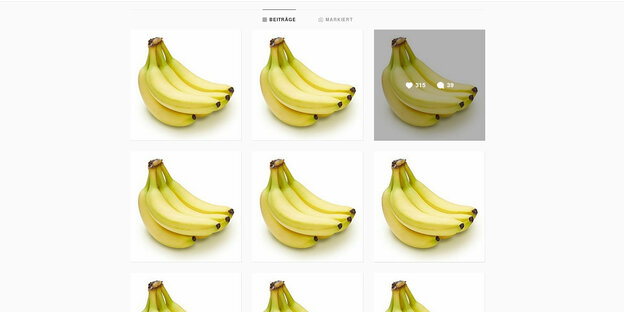 Screenshot, auf dem mehrfach das gleiche Foto einer Banane zu sehen ist Screenshot, auf dem mehrfach das gleiche Foto einer Banane zu sehen ist