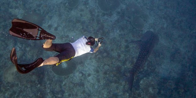 Ein Taucher filmt unter Wasser