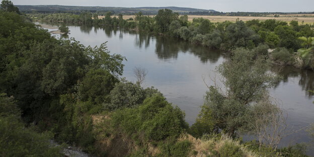Ein Fluss fließt ruhig in einer grünen Landschaft Ein Fluss fließt ruhig in einer grünen Landschaft