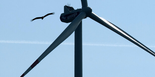 Vogel vor Windkraftanlage Vogel vor Windkraftanlage