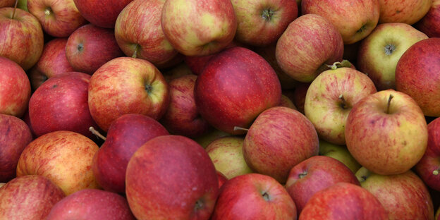 Viele rote Äpfel Viele rote Äpfel