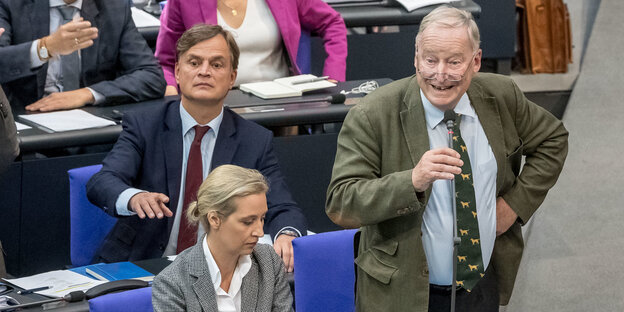 Drei AfD-Politiker_innen im Bundestag, darunter Alice Weidel und Alexander Gauland Drei AfD-Politiker_innen im Bundestag, darunter Alice Weidel und Alexander Gauland