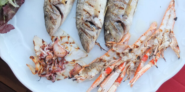 Fischplatte Fischplatte