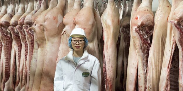 Eine junge Frau, Thi Hong Bui, steht vor aufgehängten Schweinehälften Eine junge Frau, Thi Hong Bui, steht vor aufgehängten Schweinehälften
