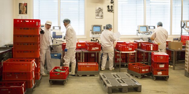 arbeiter in einer wurstfabrik arbeiter in einer wurstfabrik