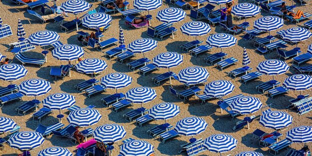 Reihenweise Sonnenschirme und Sonnenliegen an einem Strand Reihenweise Sonnenschirme und Sonnenliegen an einem Strand