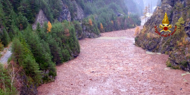 Umgestürtzte Bäume und ein von Schlamm dunkel gefärbter Fluss