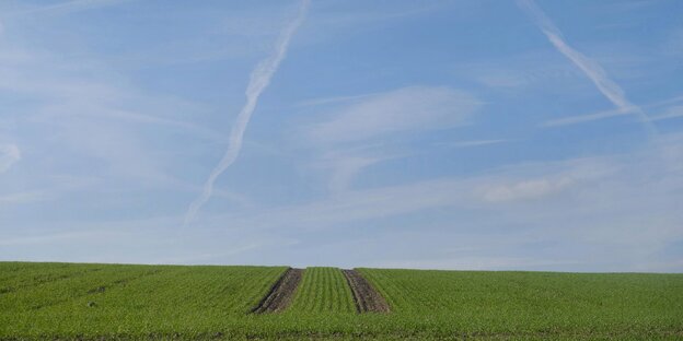 Acker und Himmel Acker und Himmel