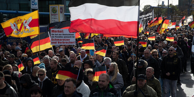 Menschen auf einer Demo mit schwarz-rot-goldenen und einer schwarz-weiß-roten Fahne