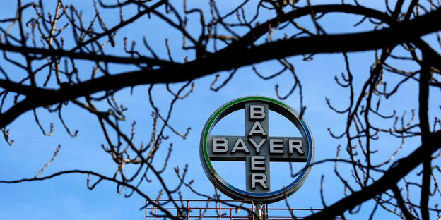 Ein Bayer-Symbol zwischen Ästen Ein Bayer-Symbol zwischen Ästen