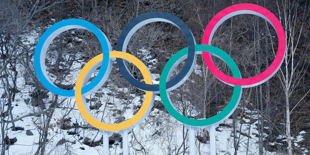 Die olympischen Ringer vor einem eingeschneiten Hang mit Bäumen Die olympischen Ringer vor einem eingeschneiten Hang mit Bäumen