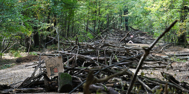 In einem Wald liegen Äste aufeinandergeschichtet. Auf einem Pappschild ist zu lesen "Fck RWE" In einem Wald liegen Äste aufeinandergeschichtet. Auf einem Pappschild ist zu lesen "Fck RWE"
