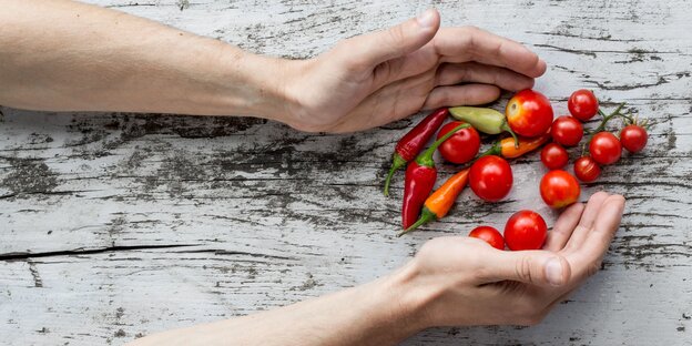 Paprika und Chilis auf einem weißen Tisch, von zwei Händen gerahmt Paprika und Chilis auf einem weißen Tisch, von zwei Händen gerahmt