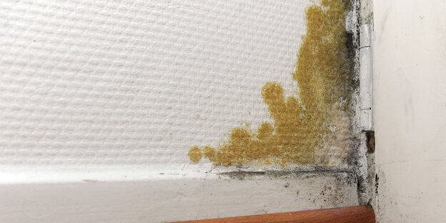 Schimmel in der Ecke einer Wand Schimmel in der Ecke einer Wand