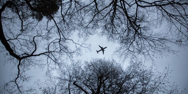 Ein Flugzeug fliegt über den Wald